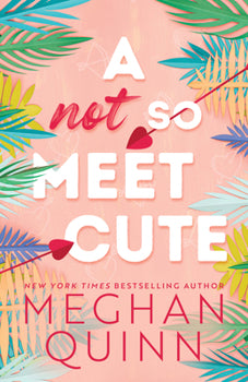 A Not So Meet Cute (Cane Brothers, #1)